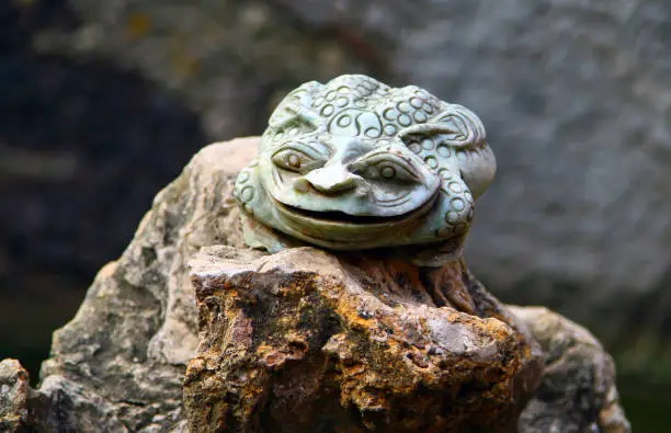 Photo of Jade Toad in the pond of chinese Taoist temple