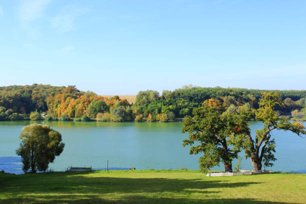 istock beautiful autumnal landscape with lake and trees 653141022