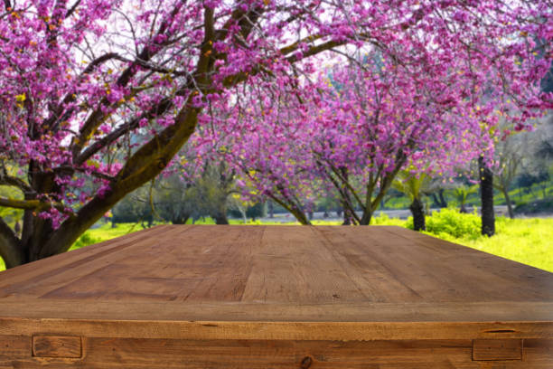 istock wooden table in front of spring white cherry blossoms tree 653146624
