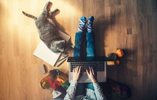 istock Creative space - Girl with her cat working from home. 653149646