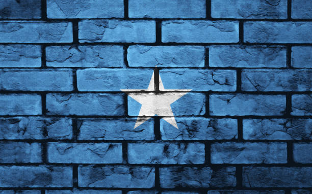 istock Flag of Somalia 653161092