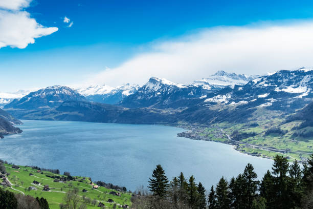 istock Lake lucerne top view 653161194