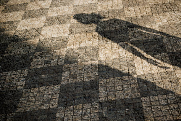 istock Woman shadow on Prague's cobblestone pavement. 653166860