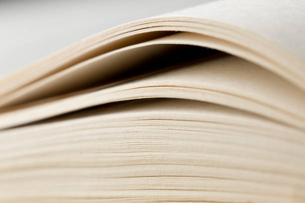 istock Education and wisdom concept - Macro view of book pages 653170690
