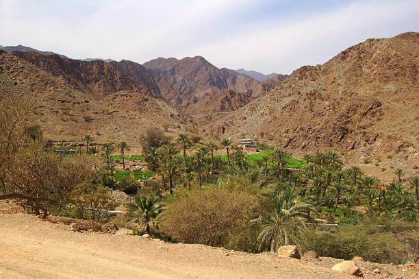 istock Green Oasis in the Hadschar Mountains in the UAE 653176868