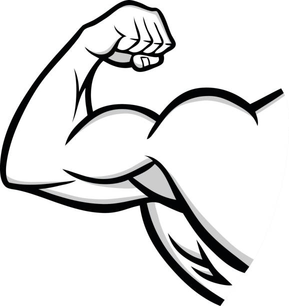 illustrazioni stock, clip art, cartoni animati e icone di tendenza di illustrazione del braccio forte - bicep human arm macho flexing muscles