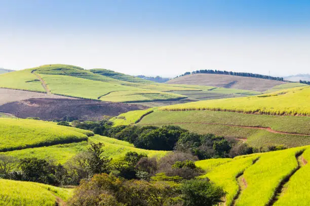 Photo of A view of the Valley of a Thousand hills near Durban, South Africa