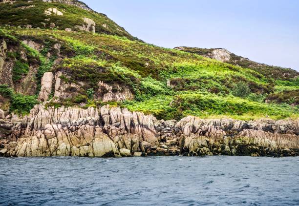 istock The Rock Cliff at Mull Island ,Scotland 653187296