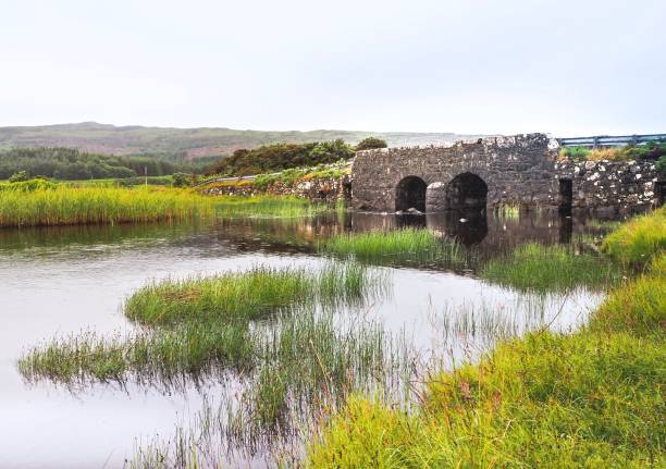 istock Beautiful Pond on Old Rock Bridge Background 653187402