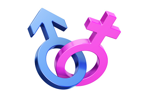 Female and male gender symbols, 3D rendering isolated on white background