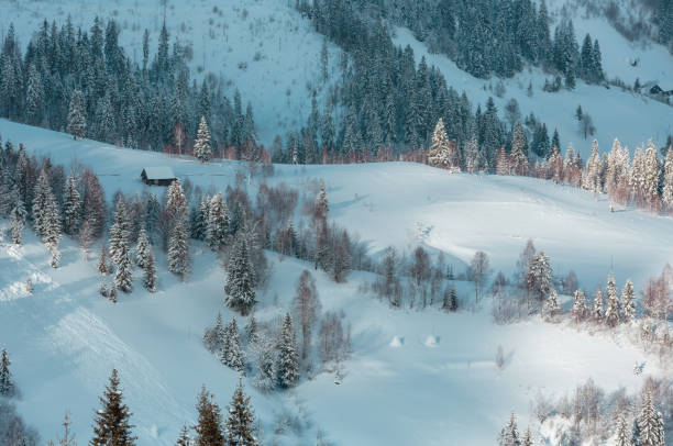 istock Winter Ukrainian Carpathian Mountains landscape. 653199014
