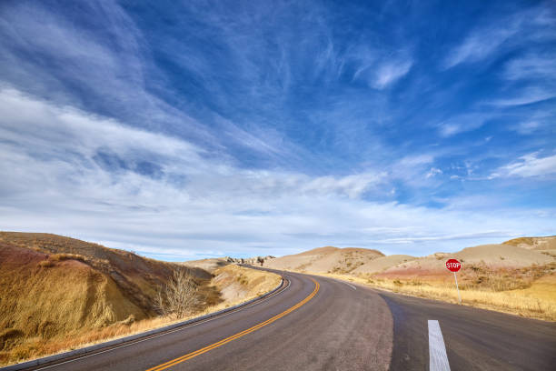 istock Beautiful cloudscape and highway with a stop sign. 653204350