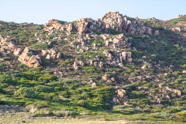 istock Costa Paradiso landscape on Sardinia, Italy 653205102