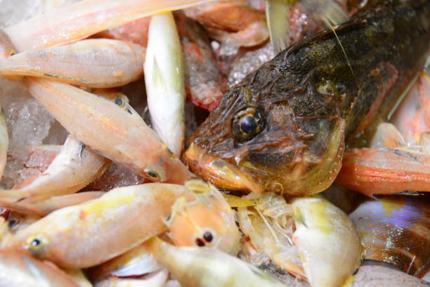 istock Fish market in Spain 653208374
