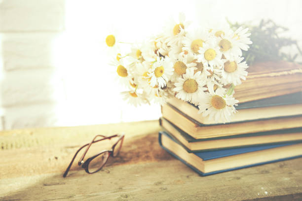 istock Chamomile flowers and  glaases on book on table on brick wall background 653211968