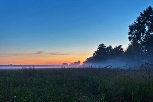 istock Foggy sunset in summer field 653218908