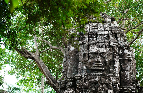 A view of the moss-covered ruins of Beng Mealea temple under light rainfall. Tree roots have overtaken the ancient Khmer stones, while the surrounding jungle appears misty and wet, adding a haunting mood to this remote historical site.