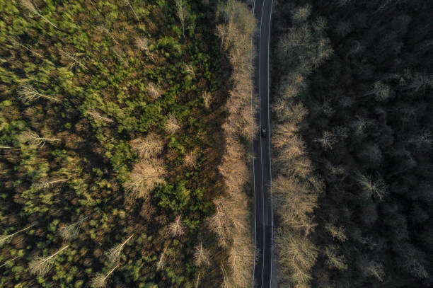 istock Aerial view of the Italian forest 653237246