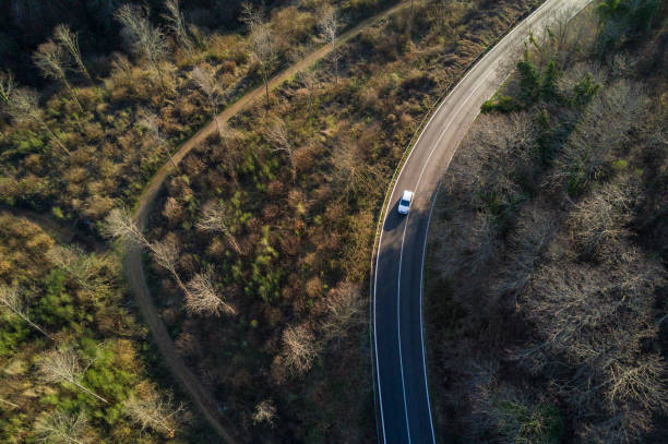 istock Aerial view of the Italian forest 653237782