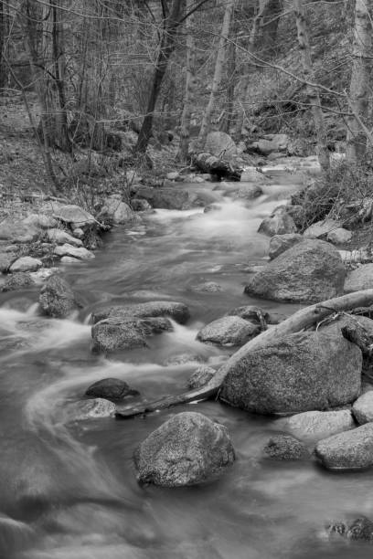 istock Rushing river over river rocks in black and white 653237874