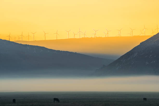 wind turbines - tehachapi imagens e fotografias de stock