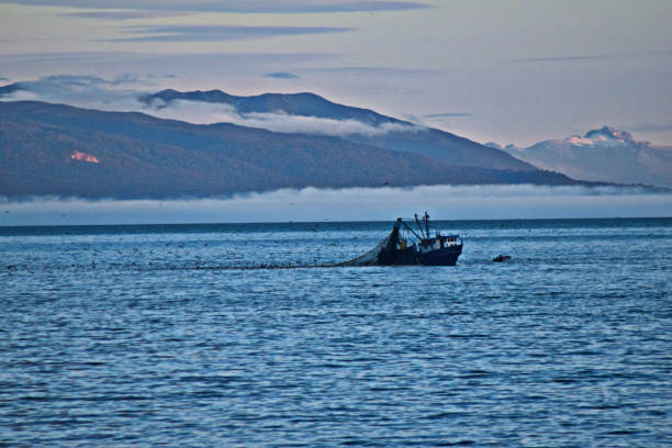 istock fishing in the ocean 653261104