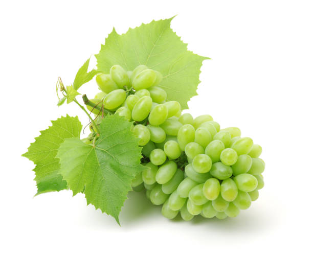 istock Fresh green grapes with leaves. Isolated on white. 653267318