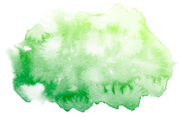 istock Abstract green watercolor background. 653267846