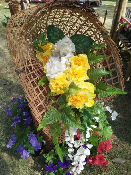 istock Orchid decorated in basket 653267966