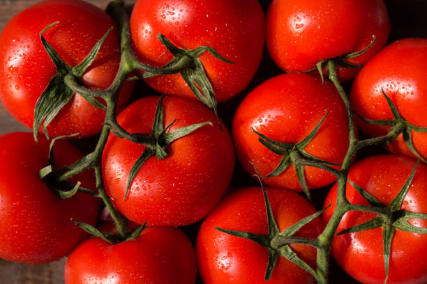vista superior de los tomates hidropónicos en vid. fondo de alimentos orgánicos saludables. - ripened on the vine fotografías e imágenes de stock
