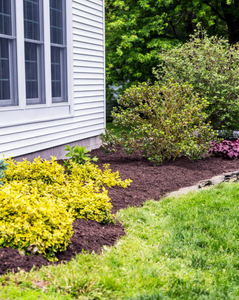 istock Landscaped Ornamental Garden Terrace 653274402