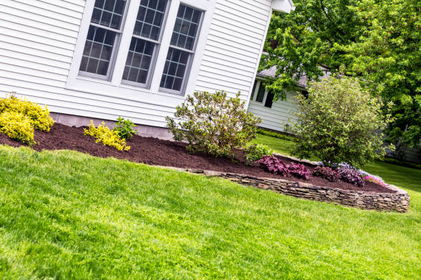istock New Mulch Compost Behind Landscaped Ornamental Garden Terrace Wall 653274442