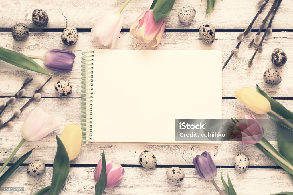 Easter background with tulips, eggs and pussy, tinted. Top view Easter background with tulips, eggs and pussy, tinted. Top view with copy space Backgrounds Stock Photo