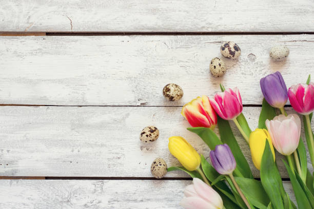 istock White wooden Easter background with tulips and eggs 653284664