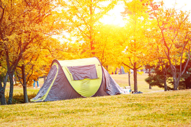 istock beautiful golden forest with plastic tent in fall 653287946
