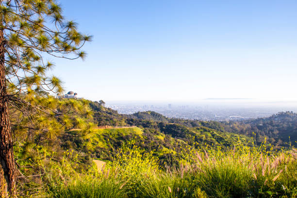 istock City of Los Angeles 653294480