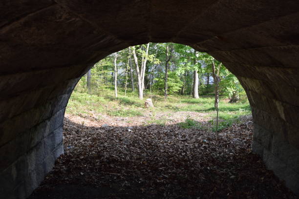 istock View Under a Stone Bridge to the Trees with Fall leaves 653299810