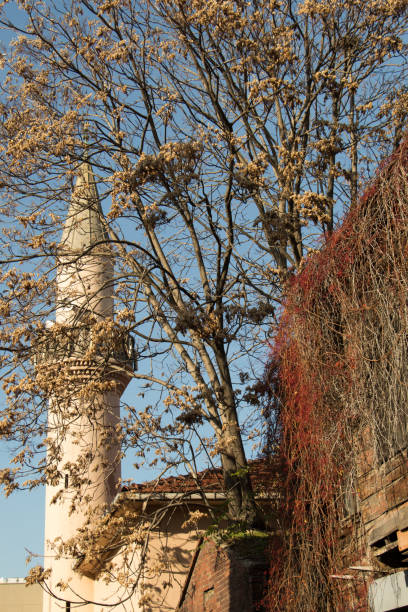 istock Minaret of Ottoman Mosques in view 653314822