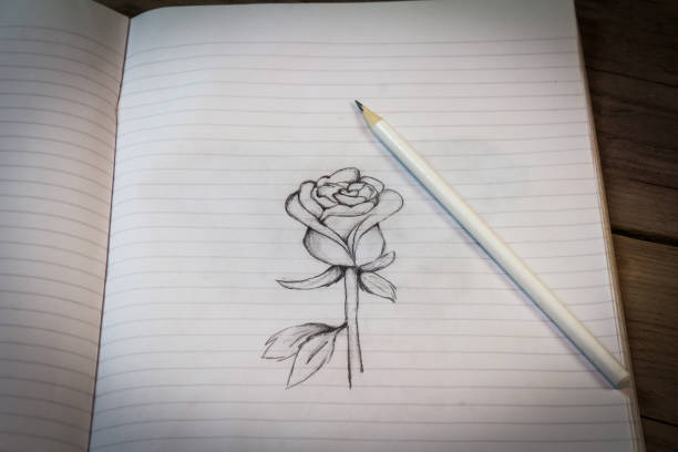 Drawing a rose drawn by girls
