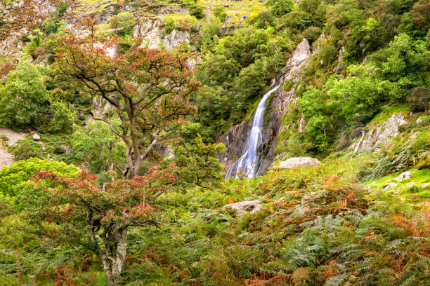 istock Aber Falls in Showdonia National Park 653319334