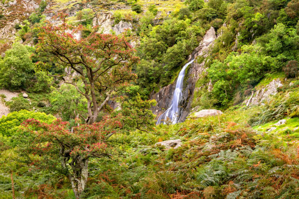 Aber Falls in Showdonia National Park View of Aber Falls in Showdonia National Park snowdonia national park photos stock pictures, royalty-free photos & images