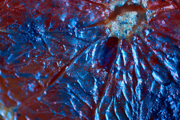 Macro of grapefruit painted with blue color