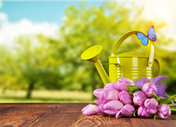istock Spring tulip flower bouquet on wooden planks 653326532