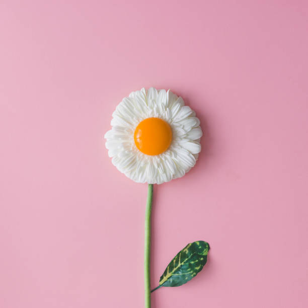istock Daisy flower with egg yolk. Minimal concept. Flat lay. 653329534