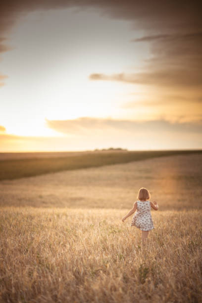 istock Child girl walk in field with rye at sunset 653330706
