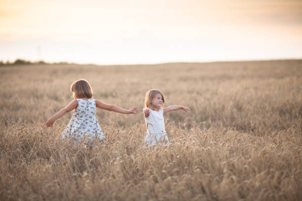 istock Fun sibling playing in field with rye at sunset 653331044