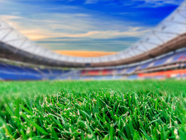 istock Soccer stadium for use in football match 653336192