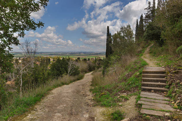 istock Dirt road among green grass and trees 653343950