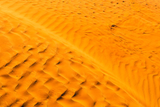 istock Orange Desert Texture, Wallpaper and Background 653345286