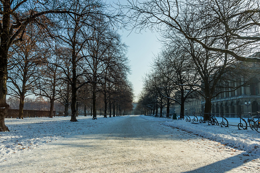 Snowy English Garden Park in Munich